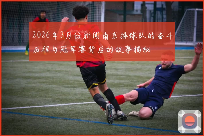 2026年3月份新闻南京排球队的奋斗历程与冠军赛背后的故事揭秘